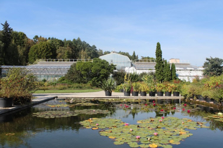 Botanical Garden UPJŠ, Slovakia